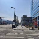 냥카페 묘연 이미지