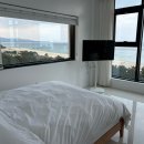 스테이하몽 이미지