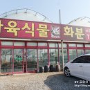 지금은다육시대 이미지