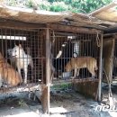 용재농장 이미지