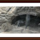 장항송림산림욕장 &amp; 국립생태원 이미지