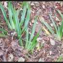 반여3동-12 이미지