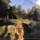 조수영소아청소년과의원 이미지