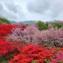 완산-17 이미지