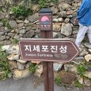 진성카 - 수원시 권선구 정조로 305 | 거제야호 2박3일 거제여행코스 추천 매미성 지세포진성꽃동산 라벤더 물총칼국수