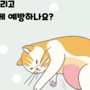 행복한 우리아이 동물병원 이미지