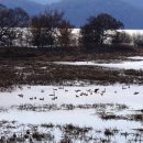 새들의천국 이미지