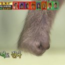 인생김밥 이미지