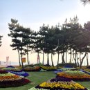 인형나라 | 충남 태안 여행 부모님 힐링여행지 추천 정보