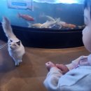 테이블에이 이미지