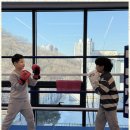 링맨복싱 이미지