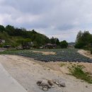 동광민물