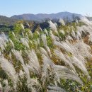 연천학곡리적석총 이미지