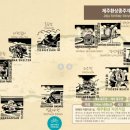 행복나눔 | 제주환상 자전거길 233km 2박3일 종주 후기