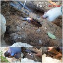 상동초등학교2 이미지