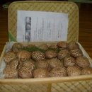 두동농장 이미지