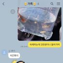 물의나라수족관 이미지