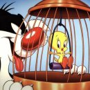 트위티 카카오 검색결과