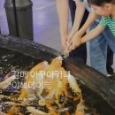 수풀림헤어 | 서울근교 갈매 아쿠아카페 수풀림 !상어있는 이색데이트 체험가격