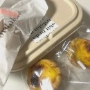 4월 용산가족공원 벚꽃구경, 용인 글램핑, 야시카 일렉트로35, 뉴 디카와 여름 시작