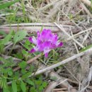 한실농장 이미지