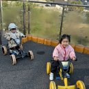(주)하임팜 | 가평 리버뷰 남이섬숙소 라포하임키즈풀빌라 19개월 아기랑 다녀온 후기
