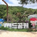 보은산V랜드 이미지