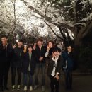 2014.04,04 전주동물원 벚꽃나들이 이미지