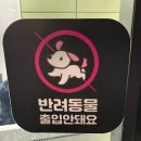 토성매점 | [공지] 강화천문과학관 | 망원경으로 본 달 별자리 그리고 토성 잊지 못할 천체관측 후기