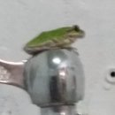 풀잎산장 이미지