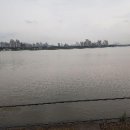 둥지 몸짓의 보금자리 이미지