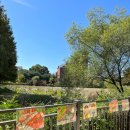 백현초등학교 이미지