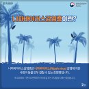 일회가축인공수정소 | 🦠제2의 코로나?? 치사율 75%!? &#34;니파바이러스&#34;