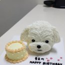 펫코노미 창업과정(수제간식) | 펫푸드 자격증 강아지수제간식창업 비용 허가 등 현실 후기