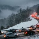 ARS | 강원랜드 ARS 당첨 후기, 자리 전쟁과 2026년 카지노 트렌드 비교 분석 (현타 옴)