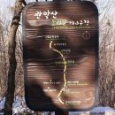 국제성지 둘레길 이미지