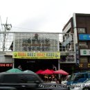 로뎀나무 이미지