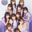 스와 이미지