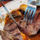 올리브트리 이미지