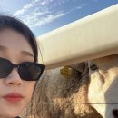 온뷰펜션 이미지