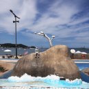 세파에 따르지 이미지