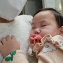 린동물병원 | 🏥아산병원 핵의학검사 : 아기 신장스캔 하던날.