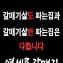 연세로갈매기