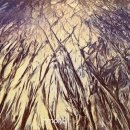 beach story 이미지