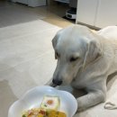 베비까까 이미지