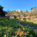 걸매생태공원 이미지