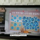 트릴로직