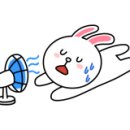 확실한강치과의원 이미지