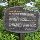 번데미 공원 이미지