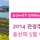 울산 5월 축제 안내 이미지